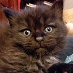 Profile Picture of Kelli Guthrie (@kelli.guthrie.961) on Instagram