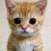 Profile Picture of Joel Becerril (@becerriljoel75) on Youtube