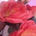 Profile Picture of Arda Mohamed (@arda.mohamed.10) on Facebook