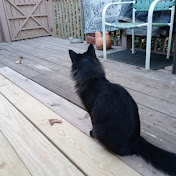 Profile Picture of Hanna Allen (@HannaAllen-ow9hj) on Youtube