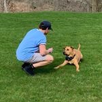 Profile Picture of Joe Irwin (@jpirwin23) on Instagram