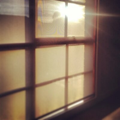 Profile Picture of Candice (@CandiceForward) on Twitter