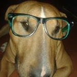 Profile Picture of Danell Burger♡♥ (@danellburger2007) on Instagram