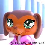 Profile Picture of Savannah Reed (@lps.savvy_the_dachshund) on Instagram