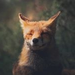 Profile Picture of Алиса Емлевская (@lisa_alicenoo) on Instagram