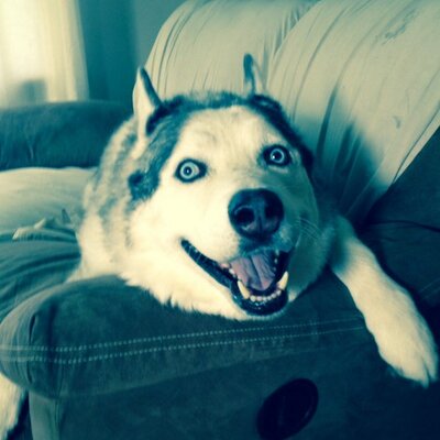 Profile Picture of Steve Gessner (@sggessner) on Twitter