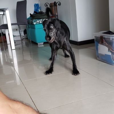 Profile Picture of Sigifredo Garcia Gir (@sigigar1) on Twitter