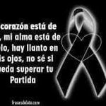 Profile Picture of Liz Noemy Palomino Victorio (@liznoemypalominovictorio) on Instagram