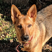 Profile Picture of Steve Beyer (@bosoxbeyer) on Youtube