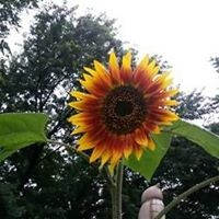 Profile Picture of Erin Mcgrath (@erin-mcgrath-23) on Quora