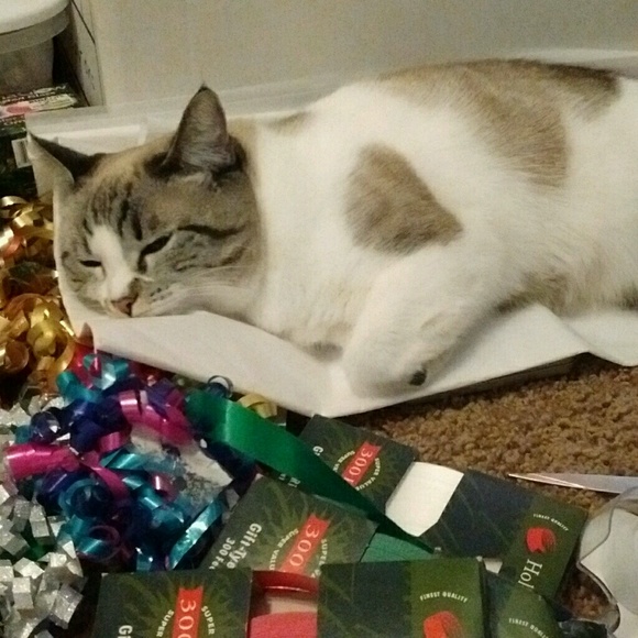 Profile Picture of Hillary Rizen (@copacetic111) on Poshmark