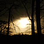 Profile Picture of Krazykaz (@krazykaz) on Flickr