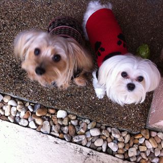 Profile Picture of JoAnna Piazza (@joanna.piazza.54) on Facebook