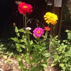 Profile Picture of Genese Blett (@Genese-Blett) on Facebook