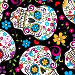 Profile Picture of Nancy Holck (@nancyaholck) on Instagram