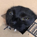 Profile Picture of Bob Duncan (@us3rn0tf0un4) on Instagram