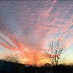 Profile Picture of Candy Storey (@Candy-Storey) on Facebook