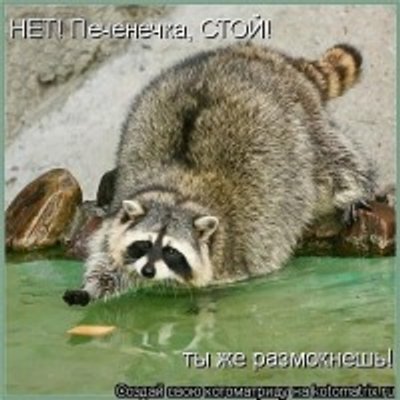 Profile Picture of Verna Lisa (@LisaVerna5) on Twitter