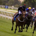 Profile Picture of Andrew Goltz (@andrew_g824) on Instagram