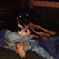 Profile Picture of Isabelle Perry (@isabelle-perry-3) on Quora