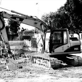 Profile Picture of Iris Madrigal (@ArqIrismv) on Twitter