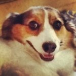 Profile Picture of Clay Benjamin Smook (@claysmook) on Instagram