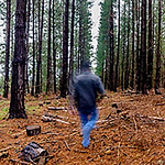 Profile Picture of Robert Wilson (@rob j wilson) on Flickr