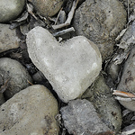 Profile Picture of Inespamperl (@inespamperl) on Flickr