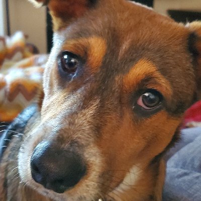 Profile Picture of Paul R Pernell (@PaulRPernell1) on Twitter