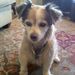 Profile Picture of Jeffery Laughlin (@jefferylaughlin) on Pinterest