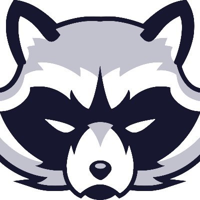 Profile Picture of The RacCoon (@The_RayCoon) on Twitter