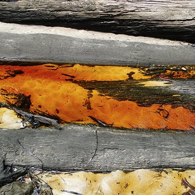 Profile Picture of Mei Zhao (@meiz080816) on Twitter