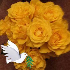 Profile Picture of Janet Seibert (@@janetseibert) on Tiktok