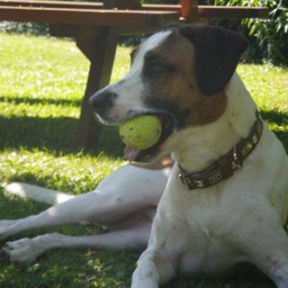 Profile Picture of Benny Phinney (@Benny-Phinney) on Facebook