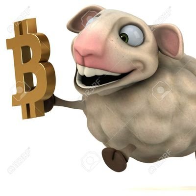 Profile Picture of Justin Shepard (@bitcoinshep81) on Twitter
