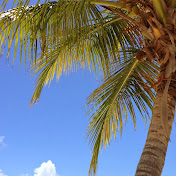 Profile Picture of Sherry Vann (@sherryvann9299) on Youtube