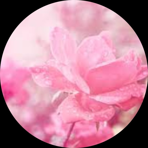 Profile Picture of Emerald Trescott (@emeraldtres) on Poshmark