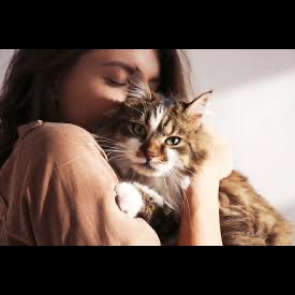 Profile Picture of Sam Koprowski738 (@samkoprowski739) on Poshmark