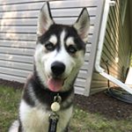 Profile Picture of jesse_dirks (@jesse_dirks) on Instagram