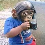 Rogelio Padilla - Instagram Profile Picture of Rogelio Padilla (@rogelio.padilla.336333) on Instagram