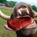 Profile Picture of Jonas Beefstick (@Jonas-Beefstick) on Facebook