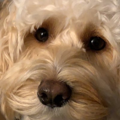 Michael Morgan - Twitter Profile Picture of Michael Morgan (@MichaelMorgan10) on Twitter