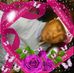 Profile Picture of Eddie Chapple (@eddie.chapple.3) on Facebook