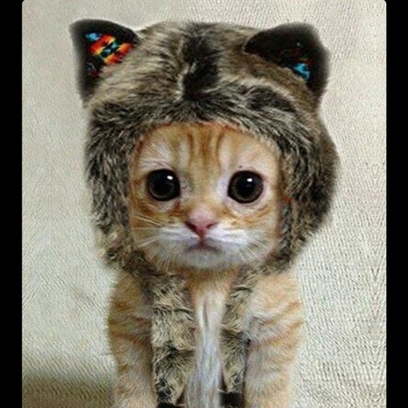 Profile Picture of Peter Tran (@peta313) on Poshmark