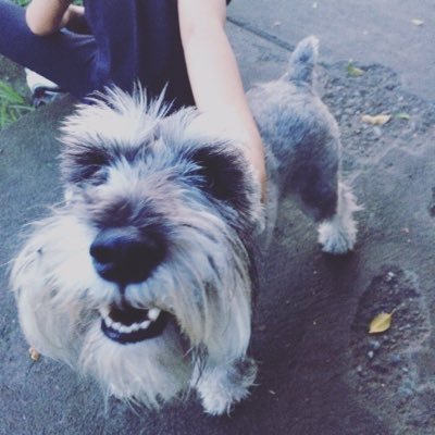 Profile Picture of Tamara Solis (@TamaraS64646968) on Twitter