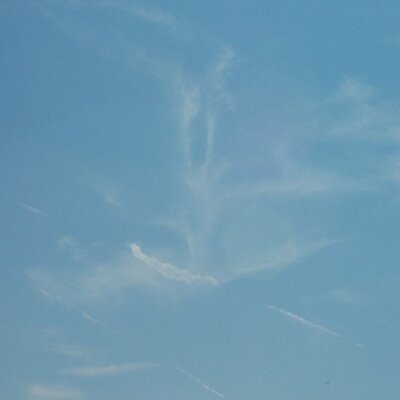Profile Picture of Jeffrey Fuchs (@Griswaldini) on Twitter