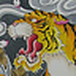 Profile Picture of monkey_vet (@monkey_vet) on Flickr