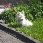 Profile Picture of Derek Coyne (@derek.coyne.58) on Instagram