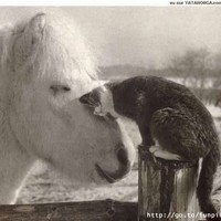 Profile Picture of Cassandra Caston (@cassandra-caston) on Quora