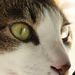 Profile Picture of Hsuan Lan (@ccc1330) on Pinterest